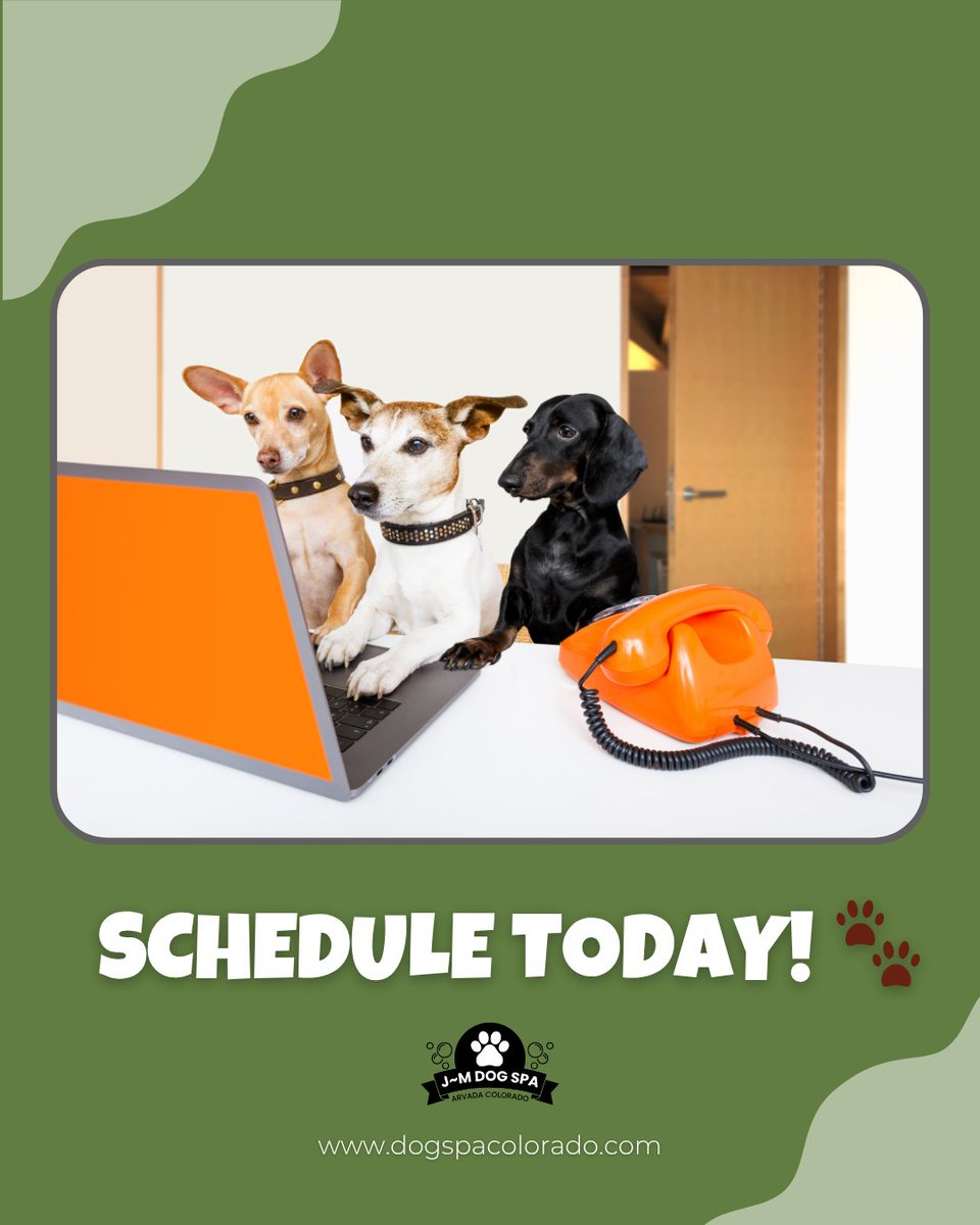 DogSpaColorado's tweet image. Your pup’s next spa day is just a call away 🐾

With experienced groomers, premium products, and a focus on comfort, J~M Dog Spa makes every visit a stress-free, tail-wagging experience.

Schedule today: (303) 423-9825

#DogSpa #ArvadaDogs #DogGrooming
