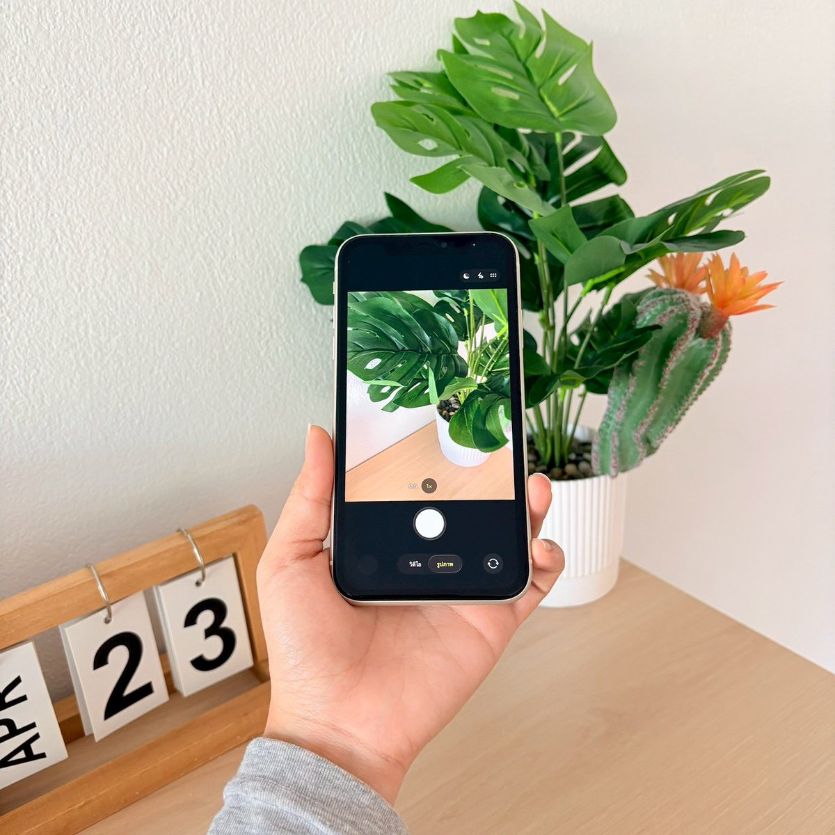Bucxazd's tweet image. 🍒𖥦 iPhone11 128GB ไทย
 ⭕️ราคา 6,500 ส่งฟรี 
อุปกรณ์ครบกล่อง
𓏔  สแกนได้ แจ้งจอ มีทูโทน
𓏔🔋แจ้งแบตสุขภาพแบตเบต้า 100%
𓏔 ใช้งานปกติทุกระบบ 
⚙️ไม่ติดiCloud รีเซ็ตตั้งค่าได้ 
แถมเคส ฟิล์ม ชุดชาร์จ
#ส่งต่อไอโฟน #iphone11 #iphone #ไอโฟนมือ2 #Iran