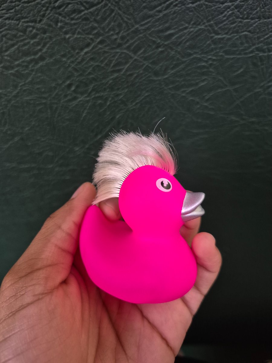 Tbh I love the way this duck I got at an arcade looks, but I have the strangest growing urge to turn it into rebel...