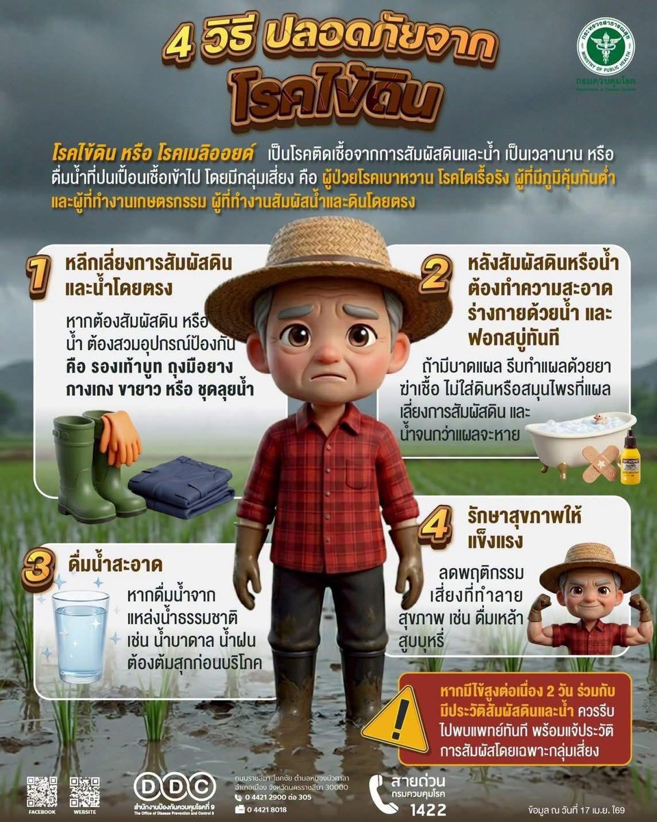 🚨 เตือน ผู้สัมผัสดินและน้ำนานๆ เกษตรกร
ผู้ป่วยโรคเรื้อรัง เสี่ยงติดเชื้อโรคไข้ดินได้ง่าย เมื่อลุยน้ำ ลุยโคลนต้องสวมอุปกรณ์ป้องกัน