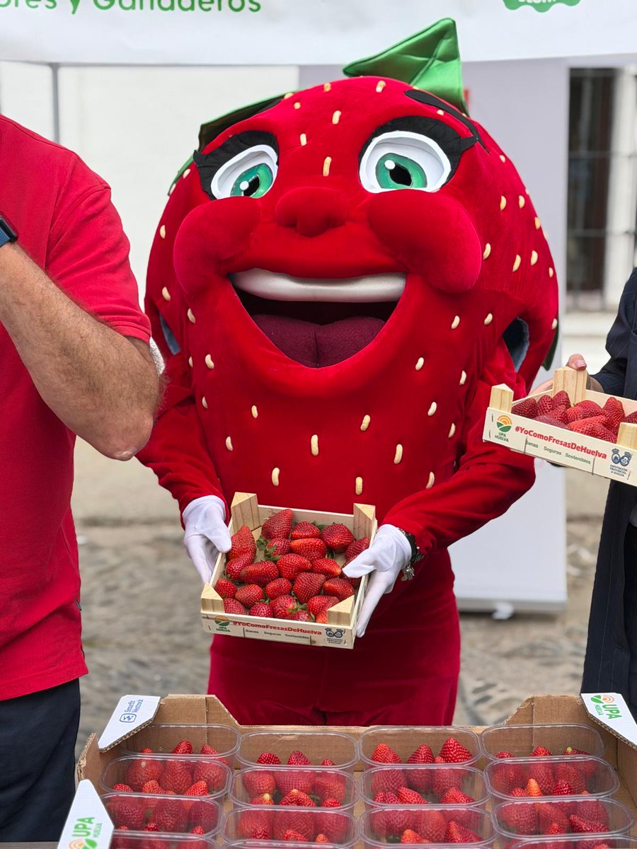 CharryTV Ronda tweet media