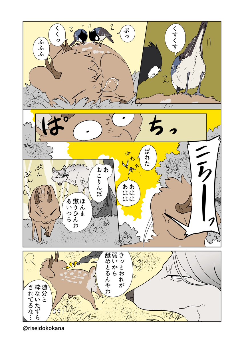 合鴨ミケランジェロ@単行本「ふたりのけもの２」🐺🦌 tweet media