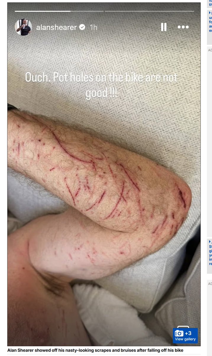 Dan Donovan🌺 tweet media