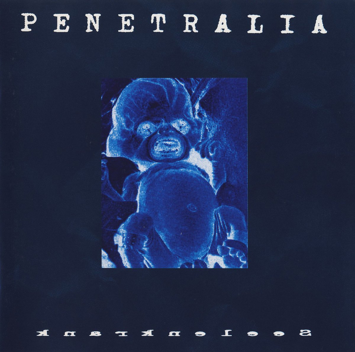 Symphonic Black Metal Promotion tweet media