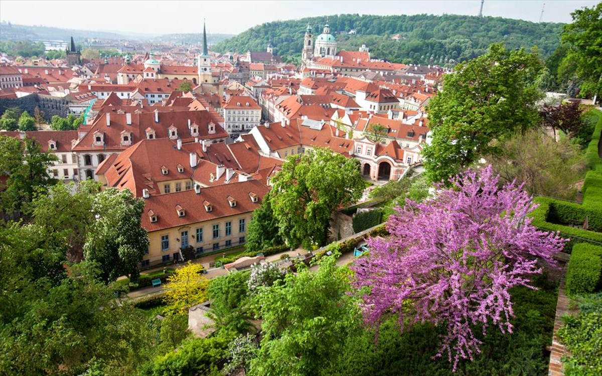 SerSpyros 🇬🇷 ♌ 🚹 tweet media