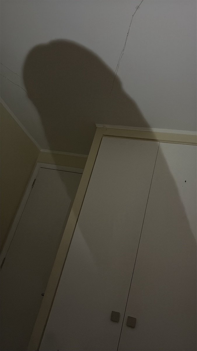 ChileanMasked tweet media