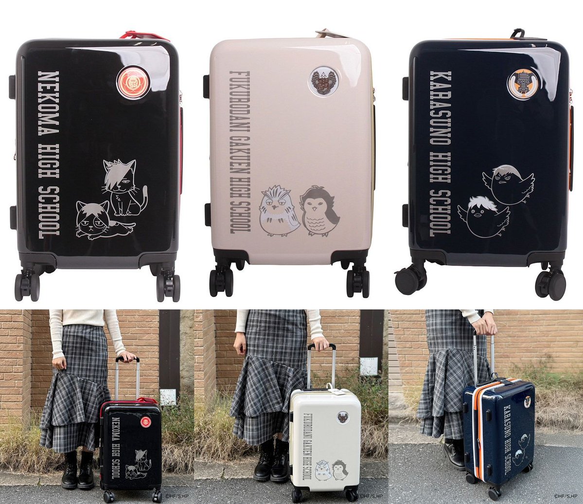 ハイキュー!! グッズ&情報 tweet media