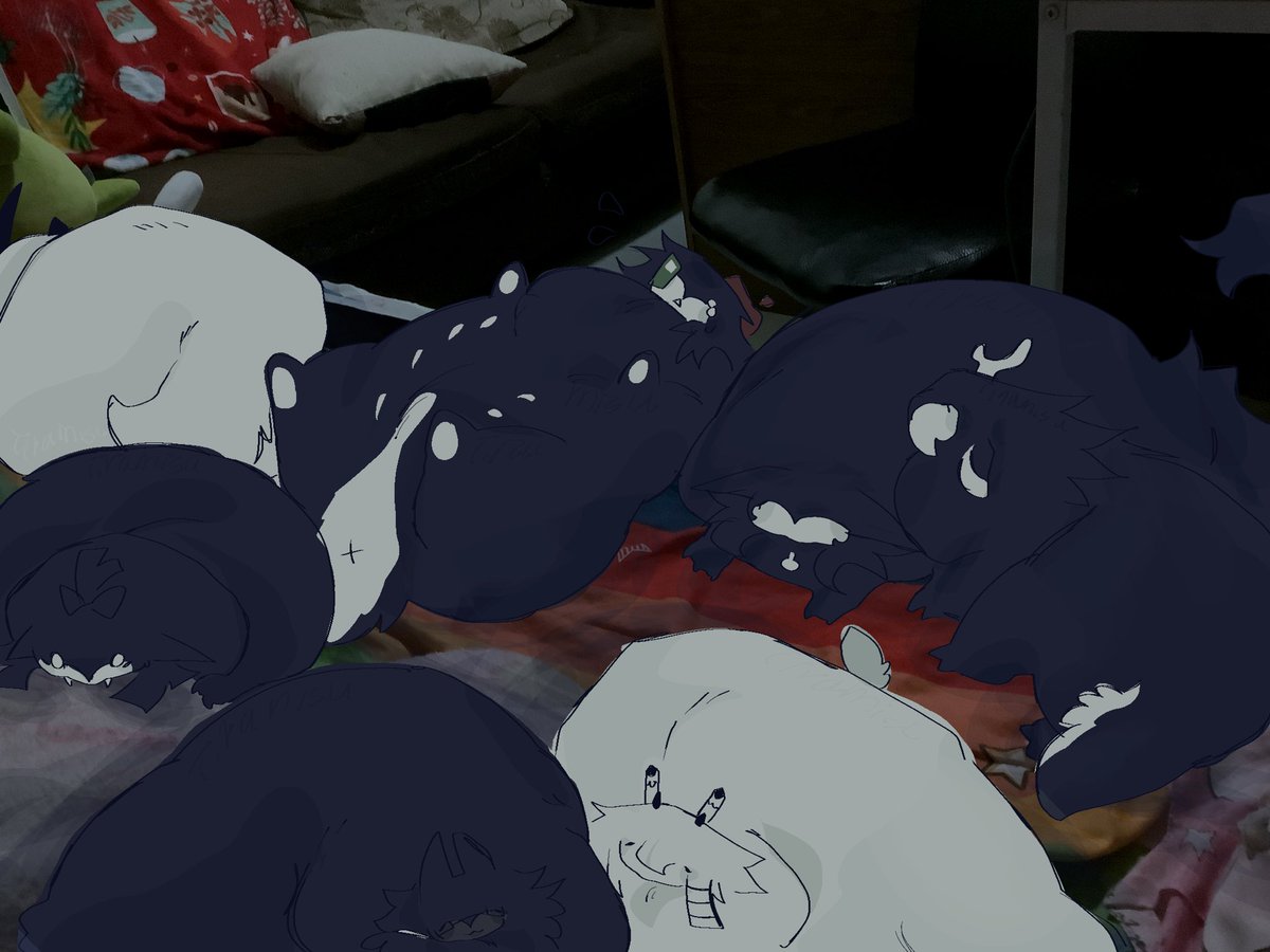 tiramisu / toari tweet media