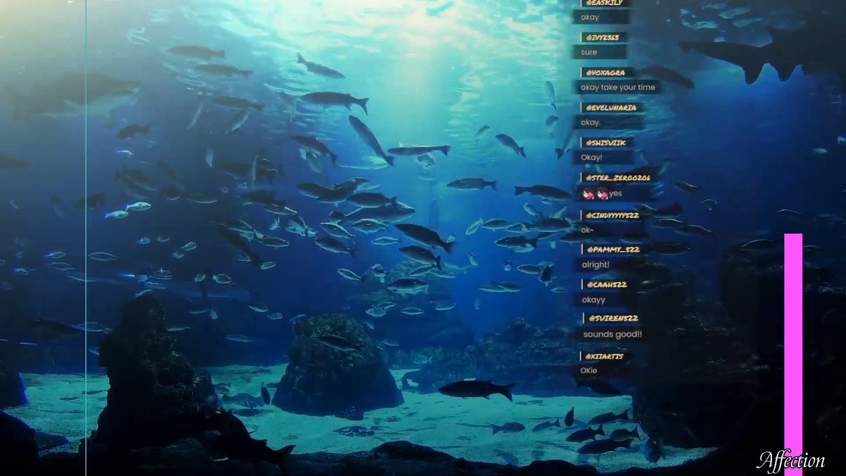 メガ☁️ tweet media