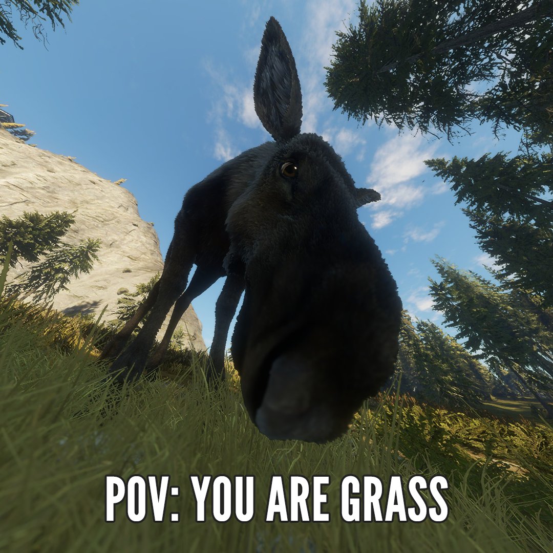 theHunterCOTW tweet media