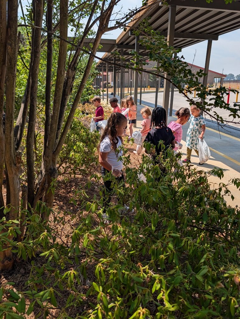 Redcliffe Elementary tweet media