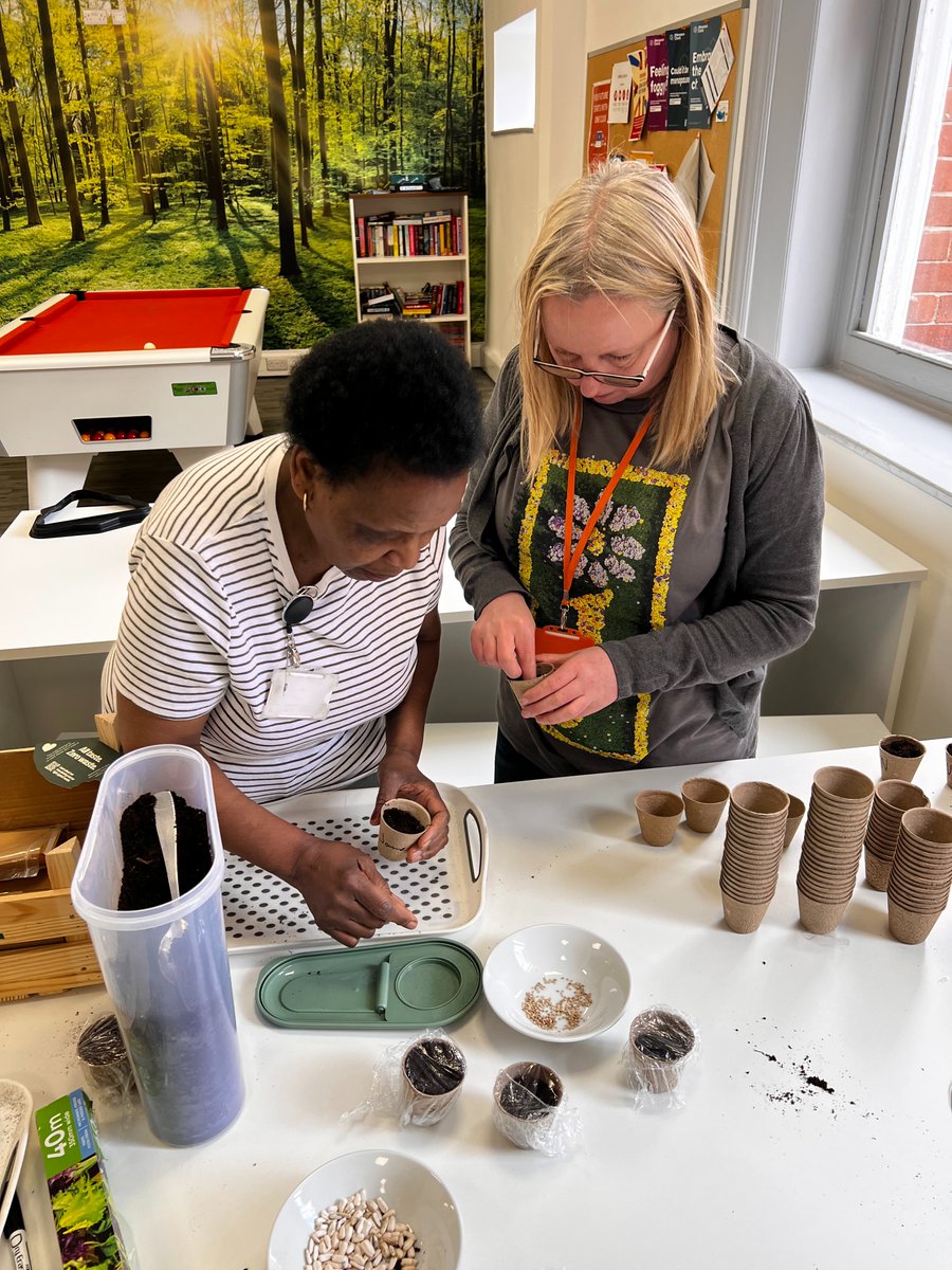 Littlefishuk's tweet photo. 🌻🍅 Spring is here and we’re growing our own, Littlefish style!

Teams across the UK planted sunflowers &amp; tomatoes this week thanks to the Littlefootprint team. Can’t wait to see them grow 🌱

#GrowYourOwn #PeopleMatter https://t.co/RvWyN2lhHq