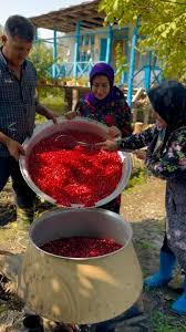 نره خر tweet media