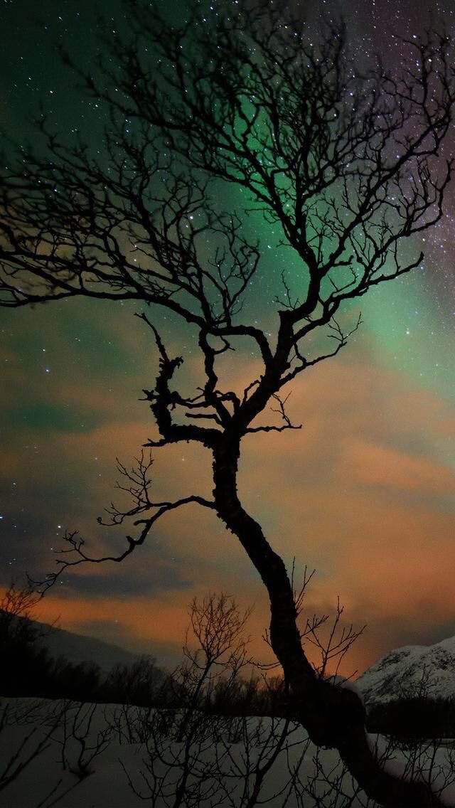 𝓜𝓮𝓱𝓻𝓲💫 tweet media