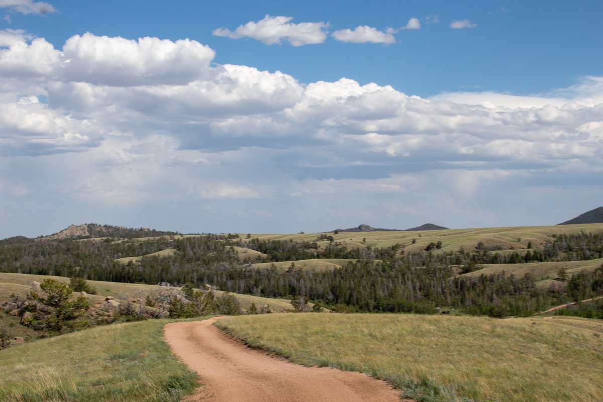 Medicine Bow-Routt NFs & Thunder Basin NG tweet media