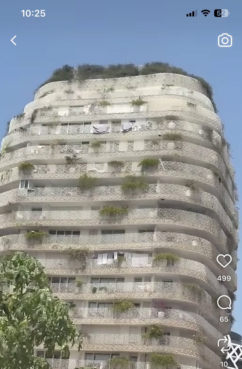 أغاراس tweet media