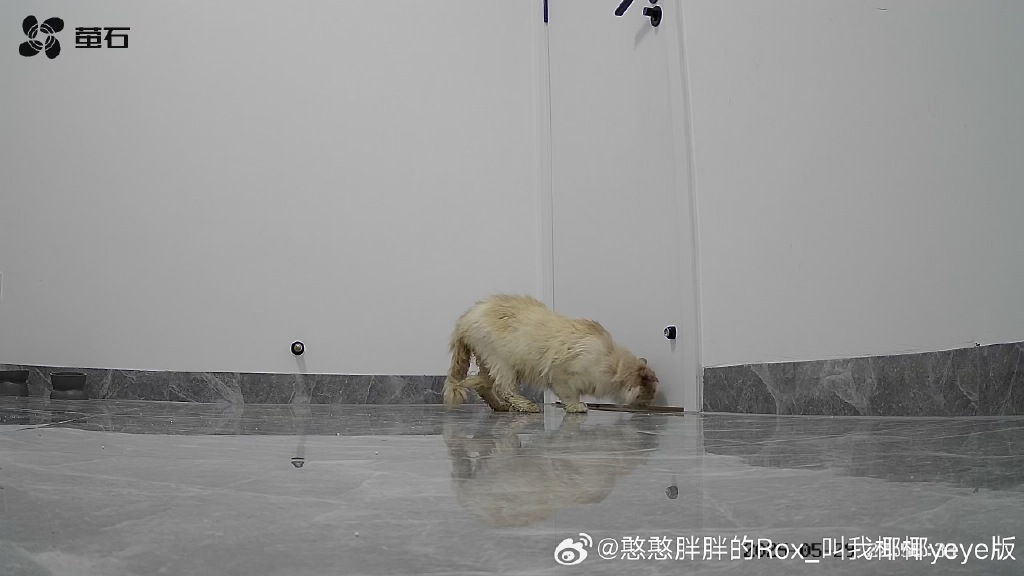 Danny King tweet media