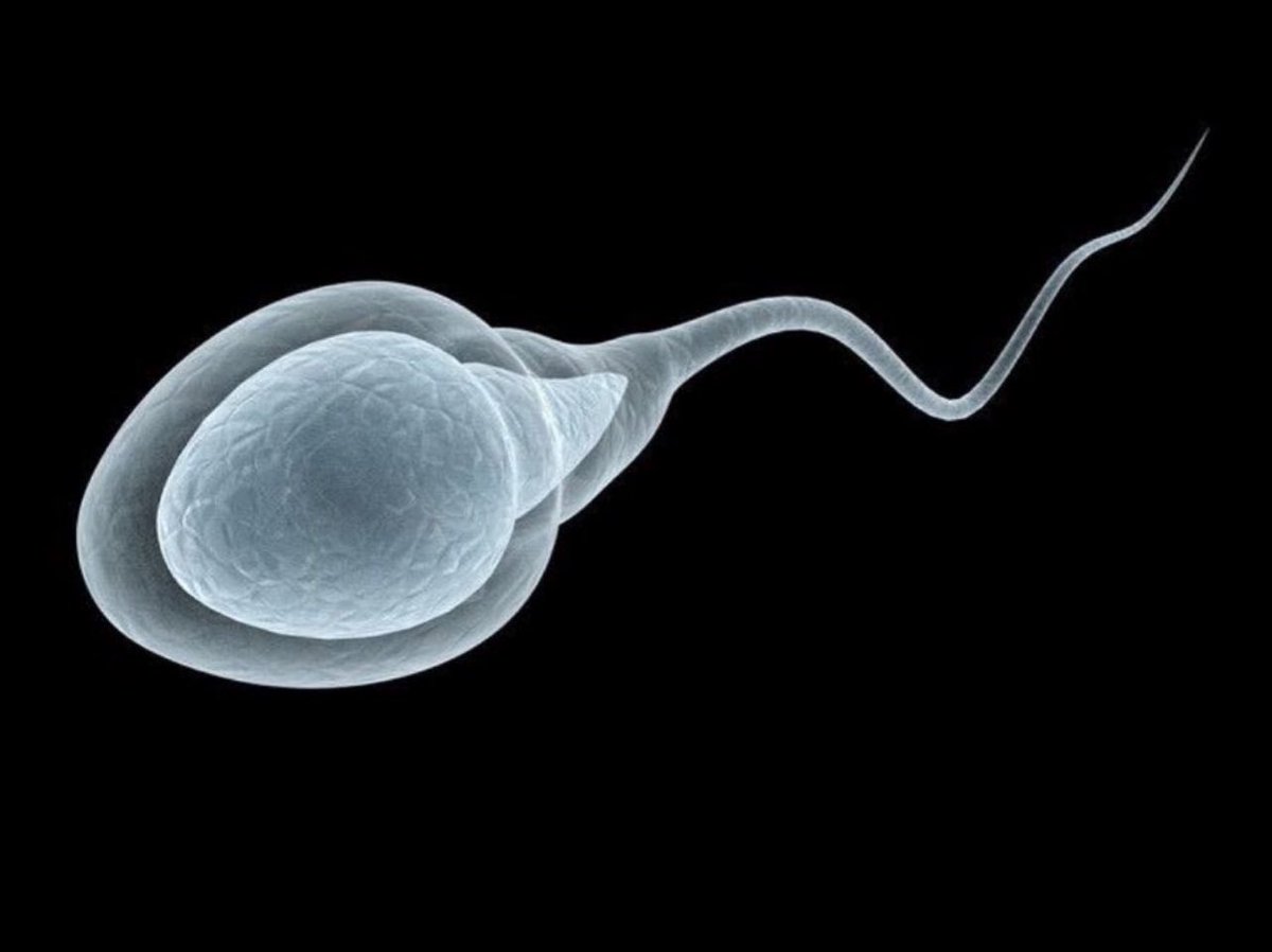 Ozioma🐐💫 tweet media