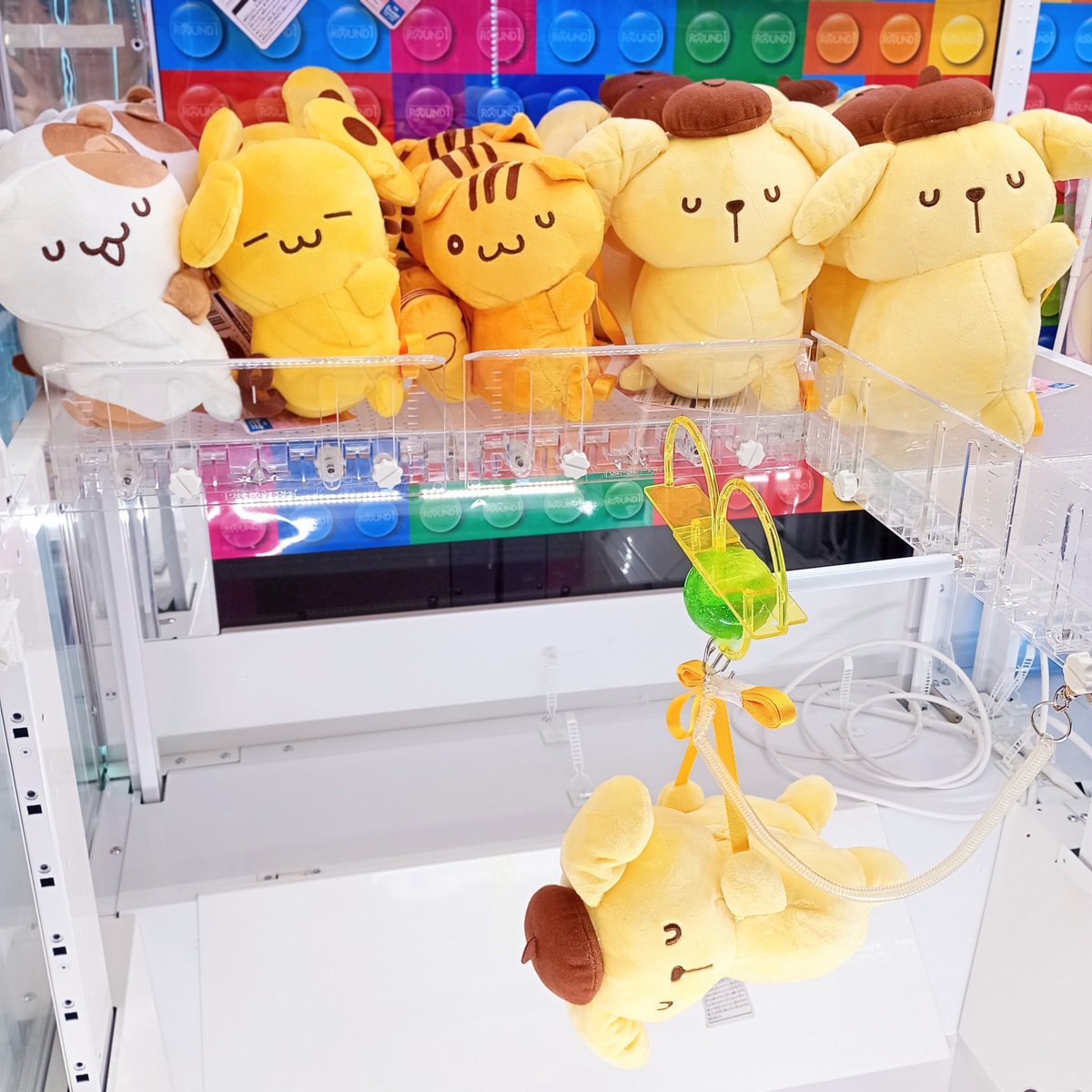 ✨景品情報✨ #ポムポムプリン より『プリンのハッピールーティン だ