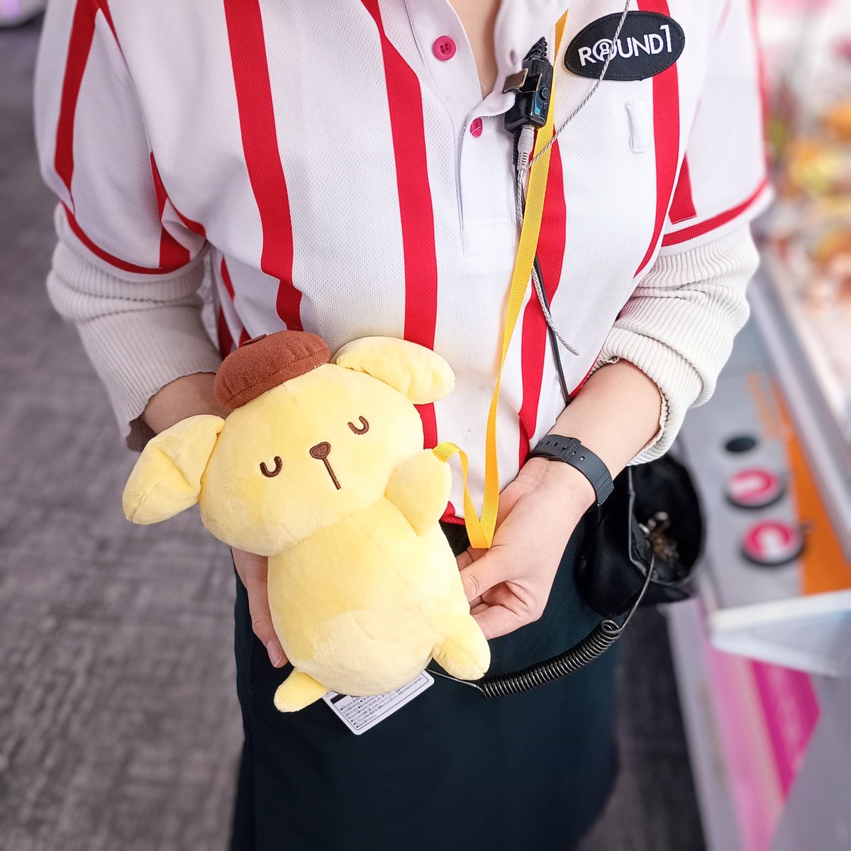 ✨景品情報✨ #ポムポムプリン より『プリンのハッピールーティン だ