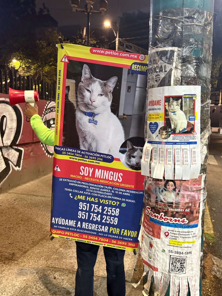 PetlocMX tweet picture