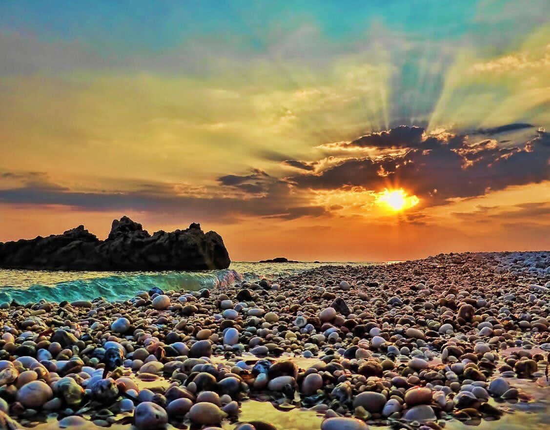 🌿سند👋🌿 tweet media