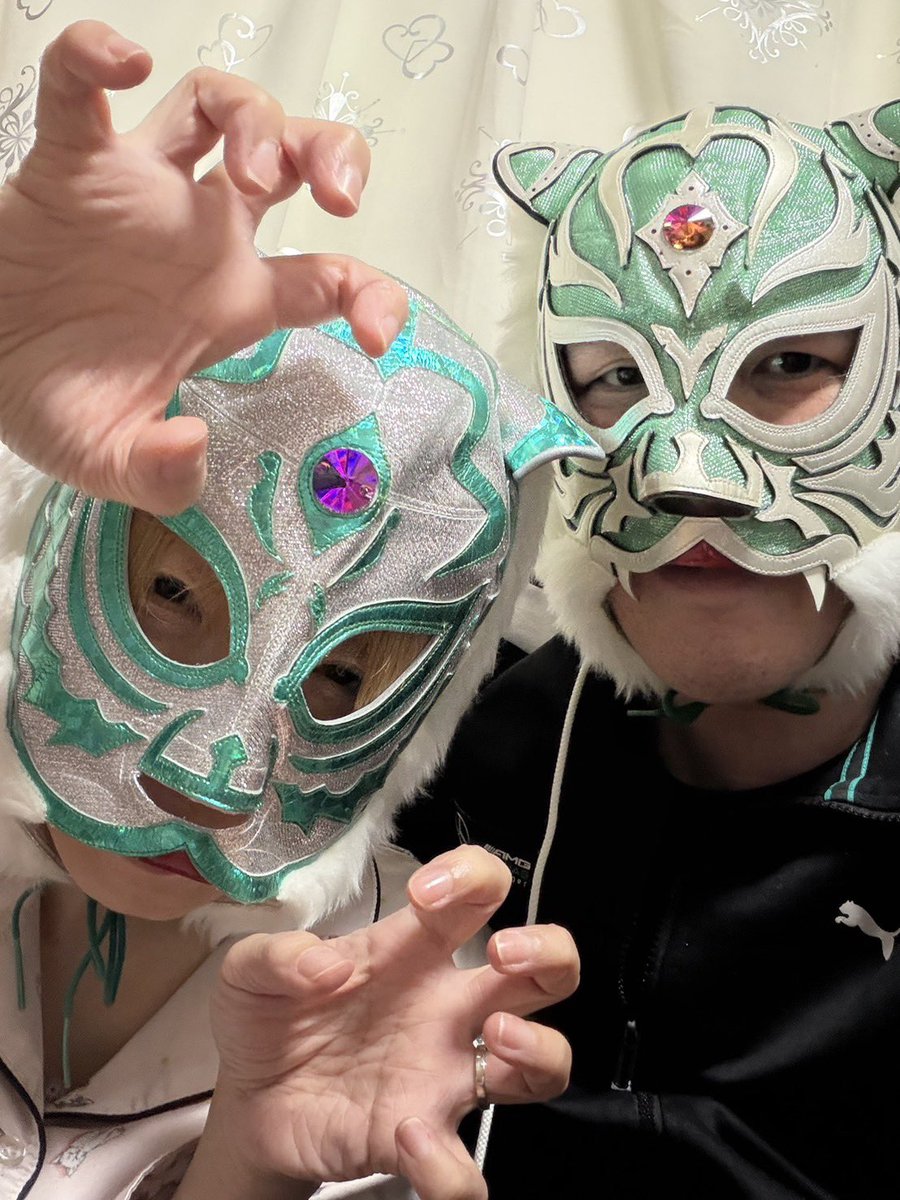 ぐろっしー🐈🥺 tweet media