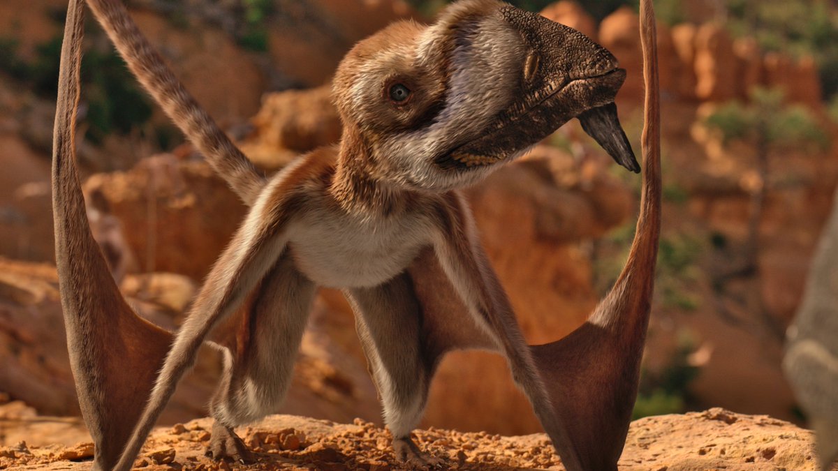 raftingzalmoxes's tweet image. #LifeOnOurPlanet #TheDinosaurs
RANDOM CAELESTIVENTUS APPRECIATION POST.