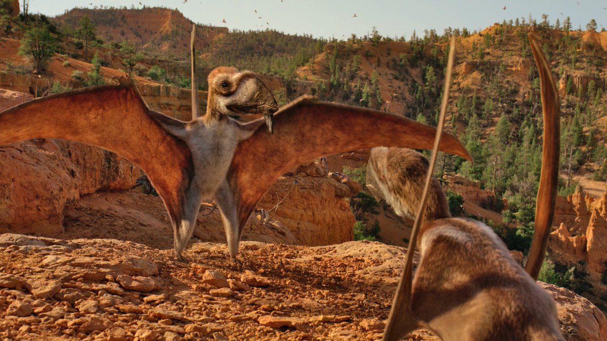 raftingzalmoxes's tweet image. #LifeOnOurPlanet #TheDinosaurs
RANDOM CAELESTIVENTUS APPRECIATION POST.