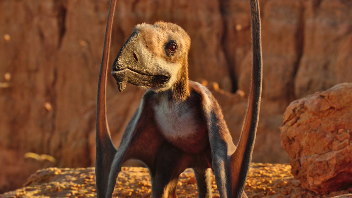 raftingzalmoxes's tweet image. #LifeOnOurPlanet #TheDinosaurs
RANDOM CAELESTIVENTUS APPRECIATION POST.