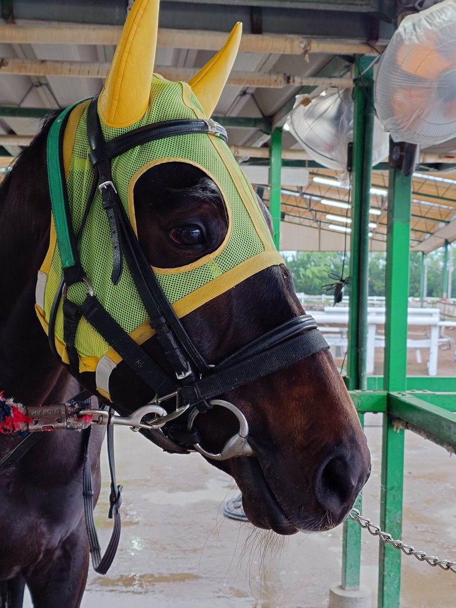 りゅう＊雑多垢🍅 tweet media