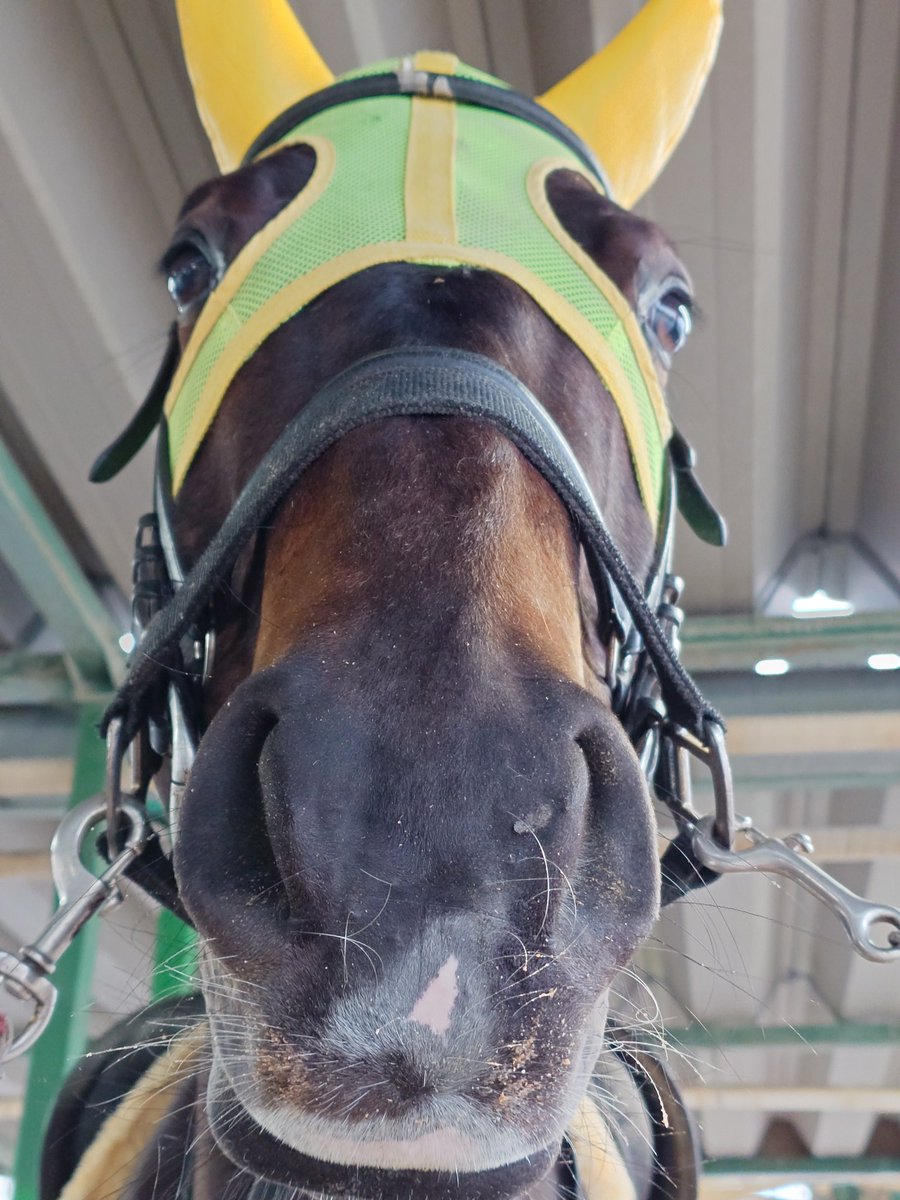 りゅう＊雑多垢🍅 tweet media