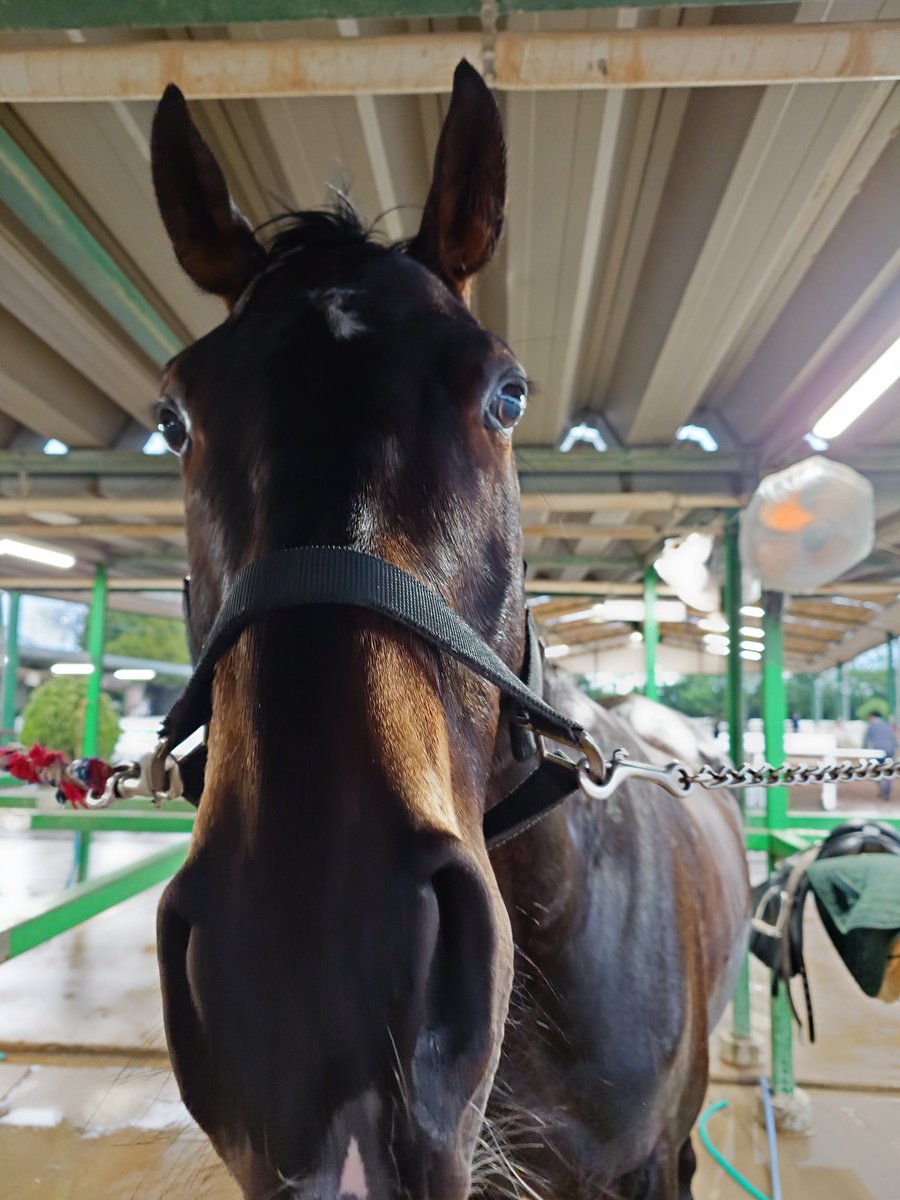 りゅう＊雑多垢🍅 tweet media