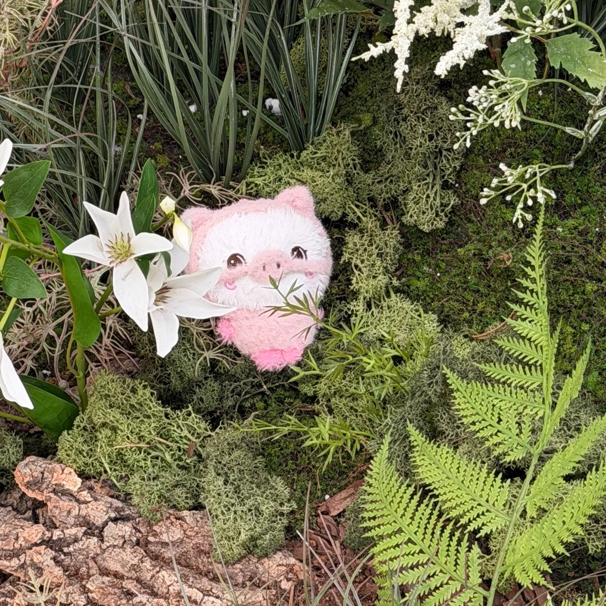 오ꪔ̤̫͚ㅖㅃi tweet media