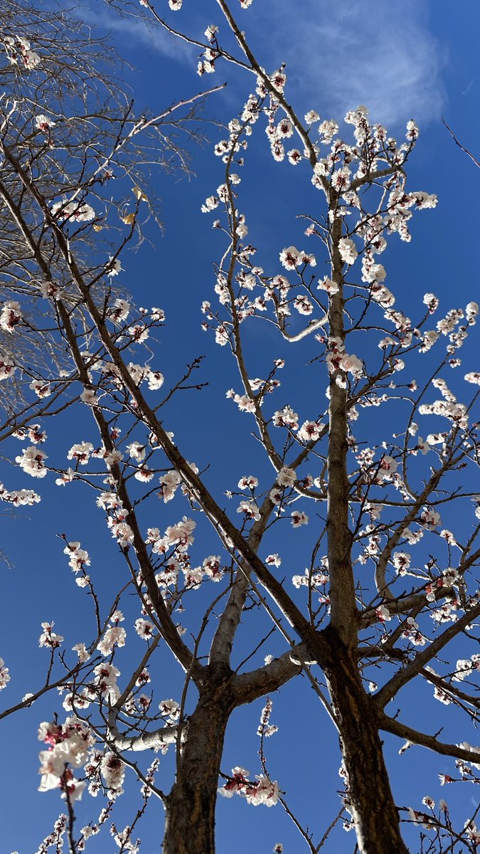 R_mn77's tweet photo. @alisalehi_iran https://t.co/JsyL8mLb5p