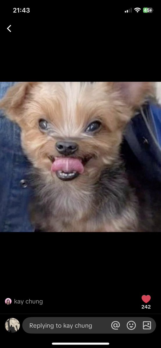 spincor!✨ tweet media