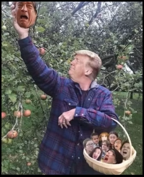 Voice Of Reason (@truthherder) on Twitter photo 