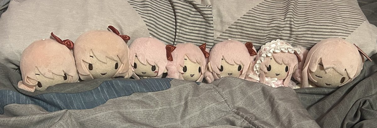 Aki with TEAM BLEPING MIZUKI’S DAILY LIFE tweet media