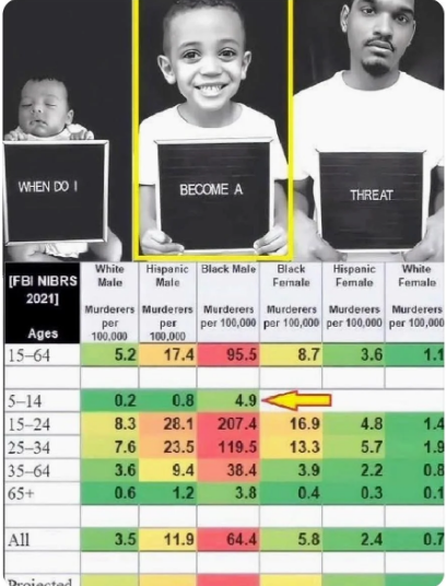 demographio tweet media