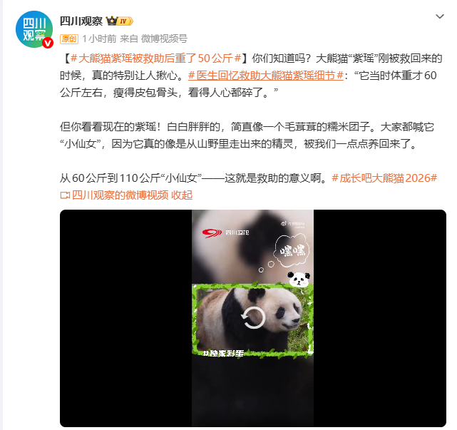 御用dev🔶 BNB tweet media