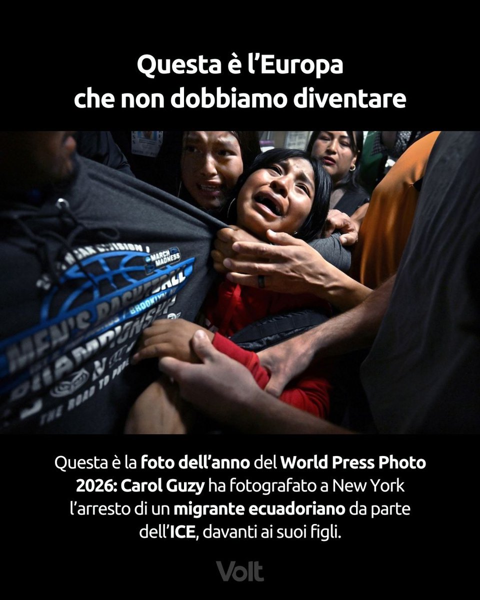 Volt Italia tweet media