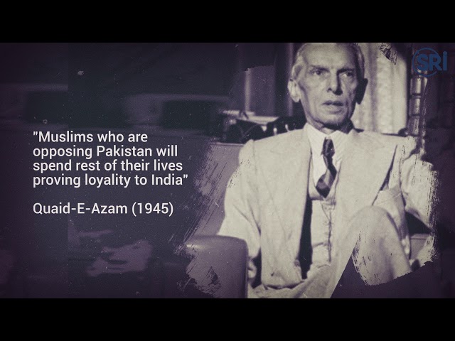 syed hammad ali tweet media