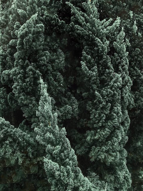 Mark Jacobs tweet media