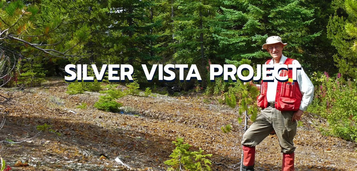 MaverickGoldSilver tweet media