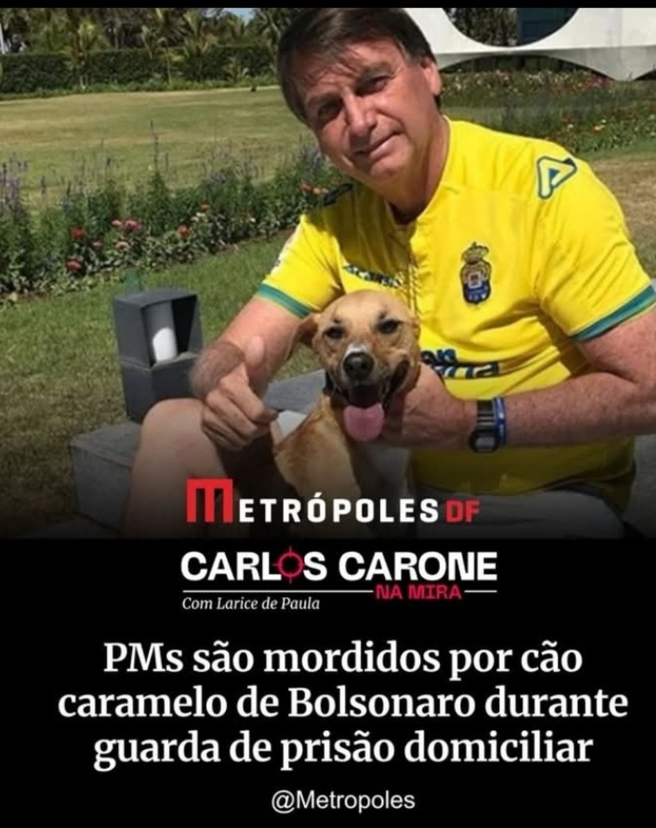 JuliVecchio7's tweet image. Confio mais na proteção do caramelo ao @jairbolsonaro do que na @Mi_Bolsonaro.
🇧🇷🐶🇧🇷

#Team Caramelo Bolsonaro 💚