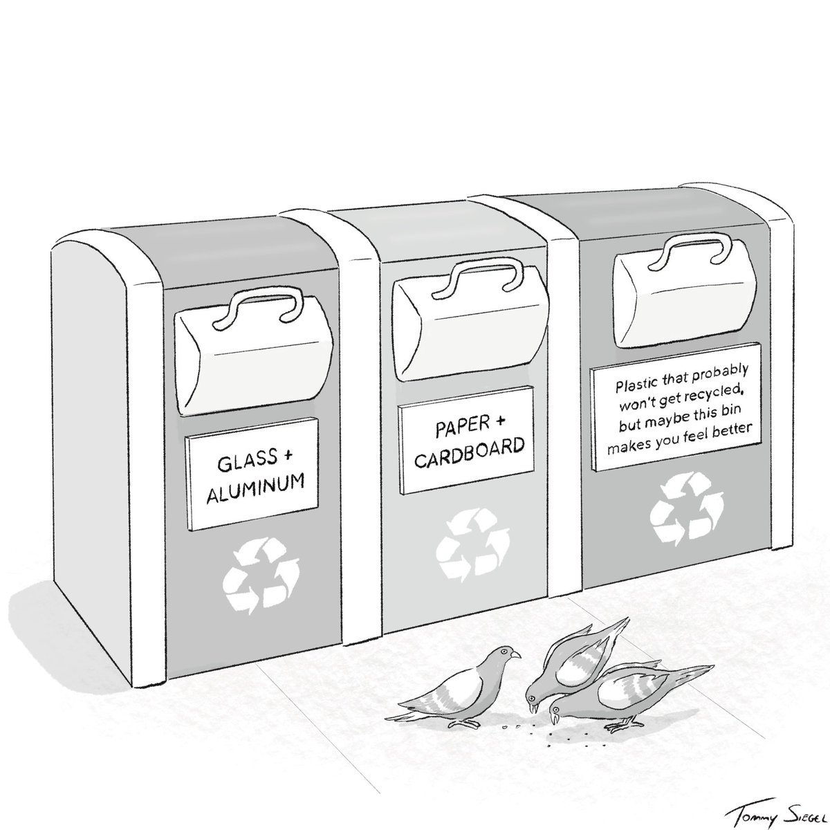 Tommy Siegel tweet media