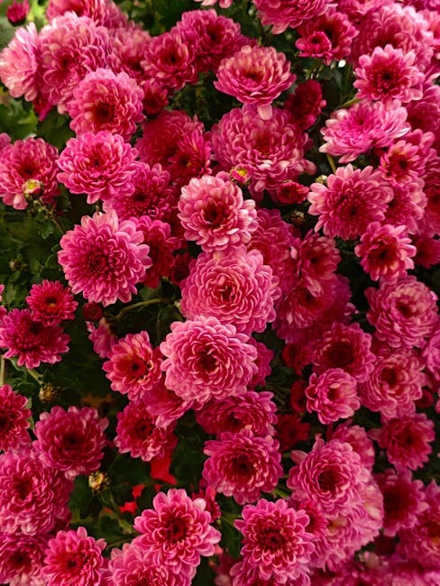 Matthew Woods tweet media