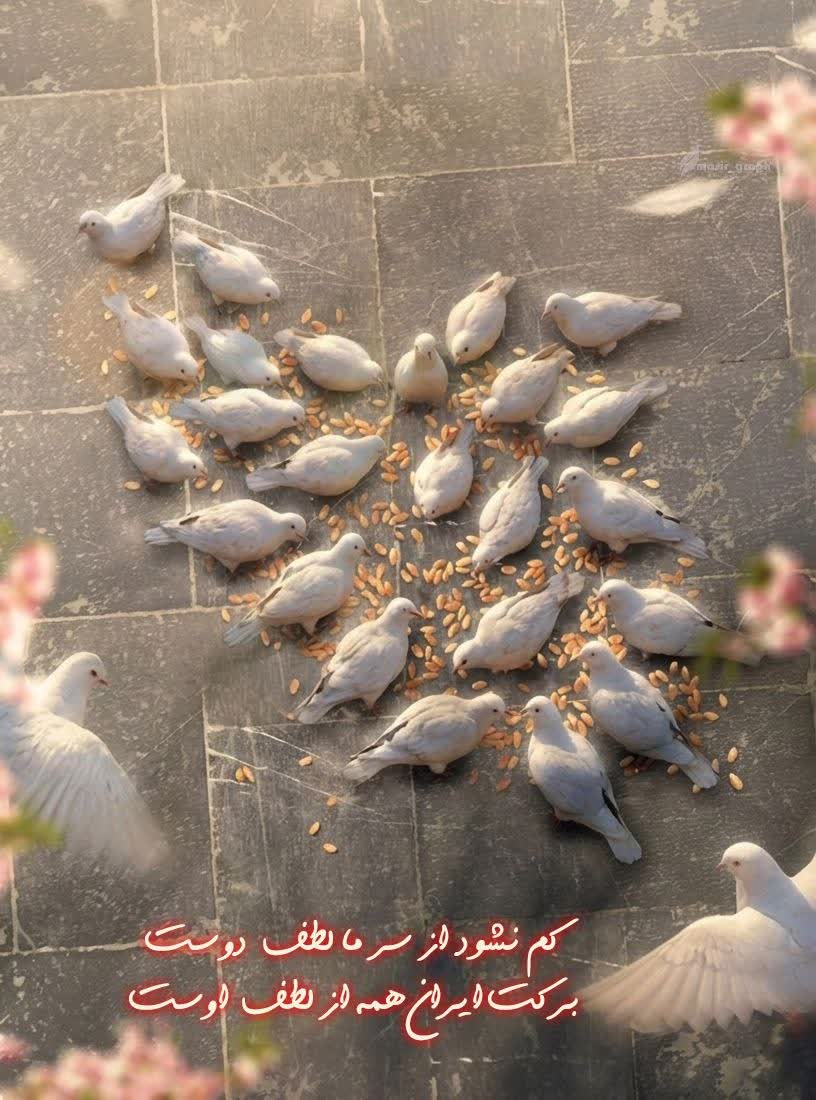 کـم نـشـود از سـر مـا لـطـف  دوسـت
بـرکـت ایـران هـمـه از لـطـف اوسـت
#ایران_امام_رضا
#باب_الرضا