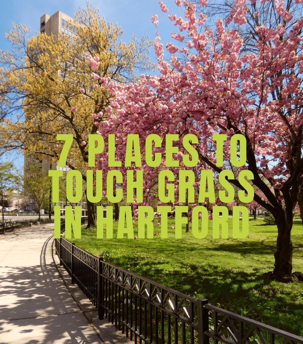 The UConn Blog tweet media