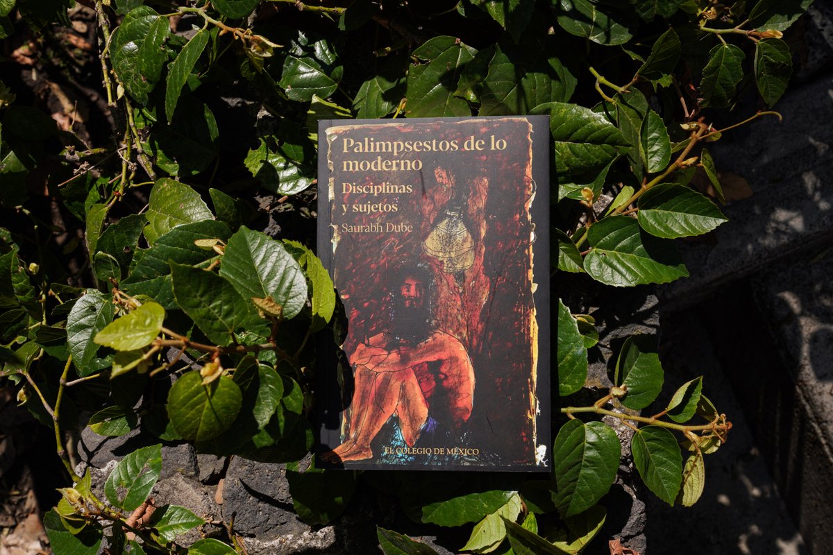 El Colegio de México tweet media